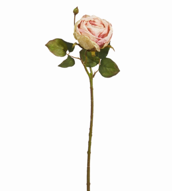 Ant. Blush Rose Stem 18"