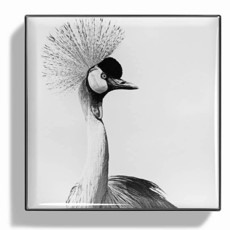 Luminescent Eye Shade - Crane